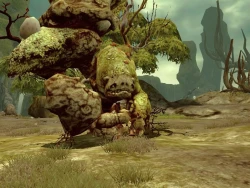 Скриншот к игре Dragon Nest