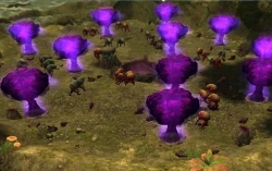 Скриншот к игре Dragon Nest