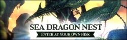 Скриншот к игре Dragon Nest