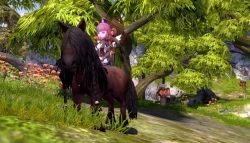 Скриншот к игре Dragon Nest
