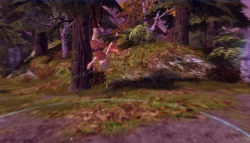 Скриншот к игре Dragon Nest