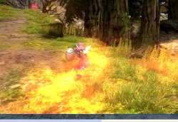 Скриншот к игре Dragon Nest