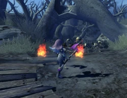 Скриншот к игре Dragon Nest