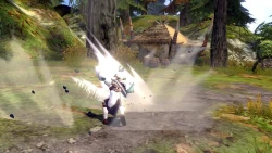 Скриншот к игре Dragon Nest
