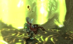 Скриншот к игре Dragon Nest