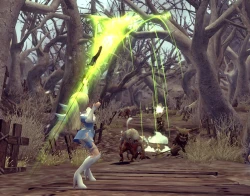Скриншот к игре Dragon Nest