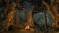 Скриншот к игре The Lord of the Rings Online: Siege of Mirkwood
