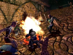 Скриншот к игре The Lord of the Rings Online: Siege of Mirkwood