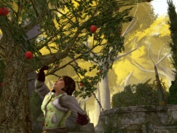 Скриншот к игре The Lord of the Rings Online: Siege of Mirkwood