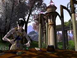 Скриншот к игре The Lord of the Rings Online: Siege of Mirkwood