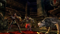 Скриншот к игре The Lord of the Rings Online: Siege of Mirkwood