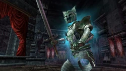 Скриншот к игре The Lord of the Rings Online: Siege of Mirkwood