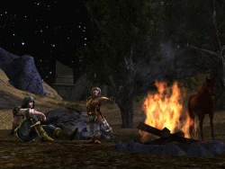Скриншот к игре The Lord of the Rings Online: Siege of Mirkwood