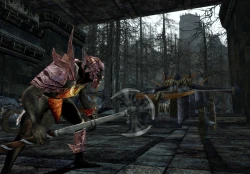 Скриншот к игре The Lord of the Rings Online: Siege of Mirkwood