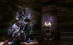 Скриншот к игре The Lord of the Rings Online: Siege of Mirkwood