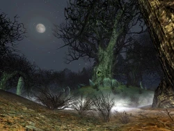 Скриншот к игре The Lord of the Rings Online: Siege of Mirkwood