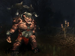 Скриншот к игре The Lord of the Rings Online: Siege of Mirkwood