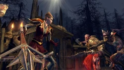 Скриншот к игре The Lord of the Rings Online: Siege of Mirkwood