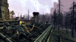 Скриншот к игре The Lord of the Rings Online: Siege of Mirkwood