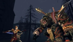 Скриншот к игре The Lord of the Rings Online: Siege of Mirkwood
