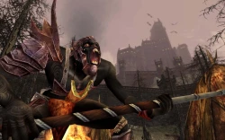 Скриншот к игре The Lord of the Rings Online: Siege of Mirkwood