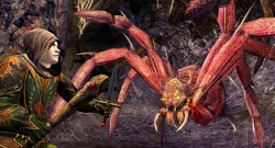 Скриншот к игре The Lord of the Rings Online: Siege of Mirkwood