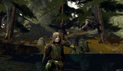 Скриншот к игре The Lord of the Rings Online: Siege of Mirkwood