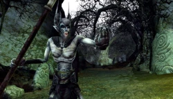 Скриншот к игре The Lord of the Rings Online: Siege of Mirkwood