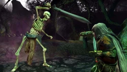 Скриншот к игре The Lord of the Rings Online: Siege of Mirkwood