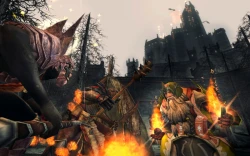 Скриншот к игре The Lord of the Rings Online: Siege of Mirkwood