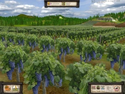 Wine Tycoon Screenshots