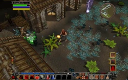 Din's Curse Screenshots