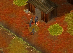 Din's Curse Screenshots