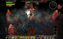 Din's Curse Screenshots
