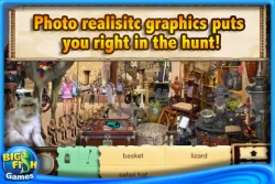 Скриншот к игре Treasure Masters, Inc.