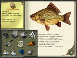 Скриншот к игре Русская рыбалка 2