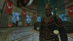 Скриншот к игре EverQuest 2: Sentinel's Fate