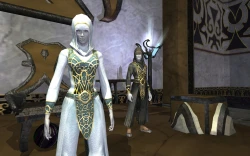 Скриншот к игре EverQuest 2: Sentinel's Fate