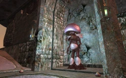 Скриншот к игре EverQuest 2: Sentinel's Fate
