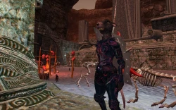 Скриншот к игре EverQuest 2: Sentinel's Fate