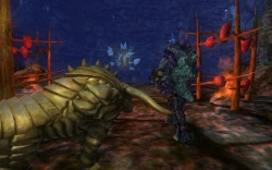Скриншот к игре EverQuest 2: Sentinel's Fate