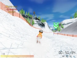 Скриншот к игре SKI