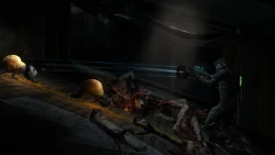 Скриншот к игре Dead Space 2