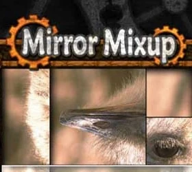 Mirror Mixup