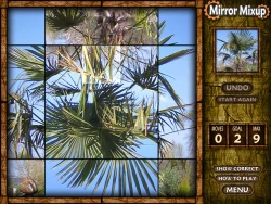 Скриншот к игре Mirror Mixup