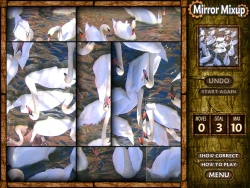 Mirror Mixup Screenshots