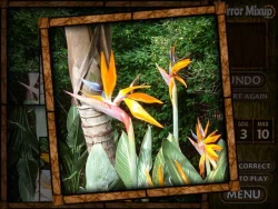 Mirror Mixup Screenshots