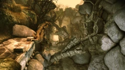 Скриншот к игре Dragon Age: Origins - Awakening