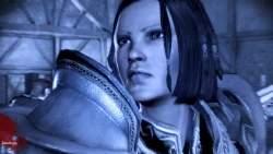 Скриншот к игре Dragon Age: Origins - Warden's Keep