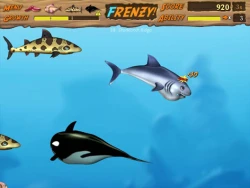Feeding Frenzy 2: Shipwreck Showdown Screenshots